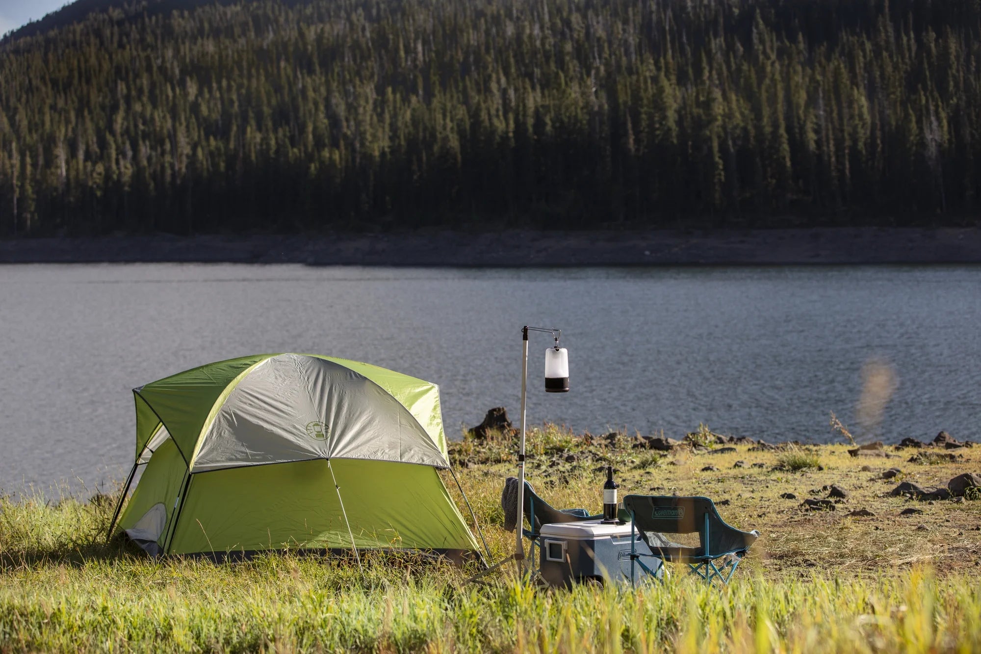 ® 4-Person Sundome® Dome Camping Tent, Green